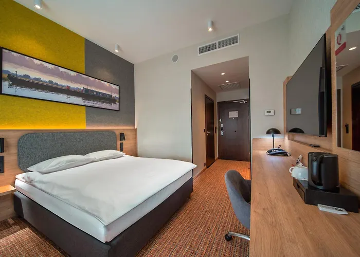 Qubus 비드고슈치